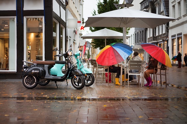 electric scooters for adults