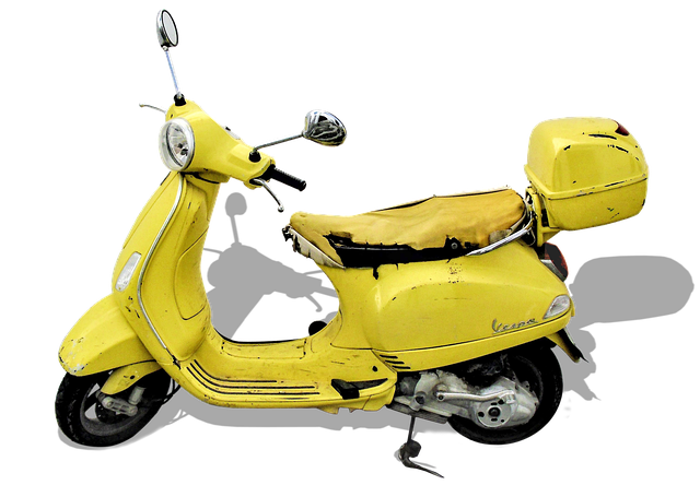 electric scooters for adults