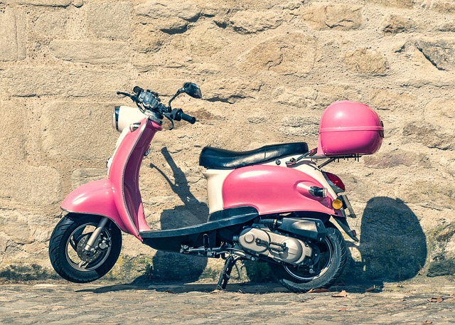 electric scooters for adults