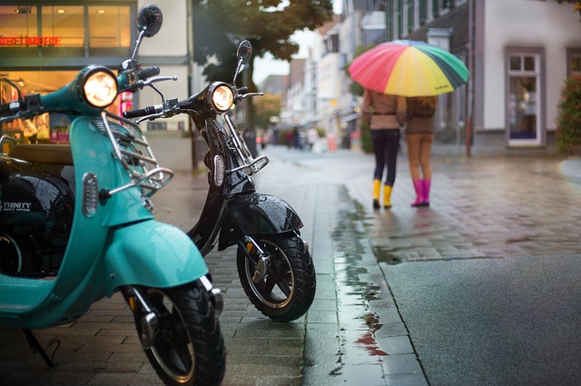 electric scooters for adults