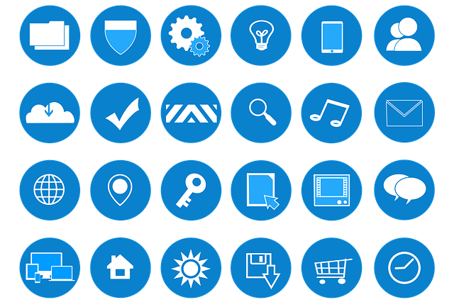 expert web design services