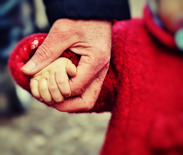 family counseling services