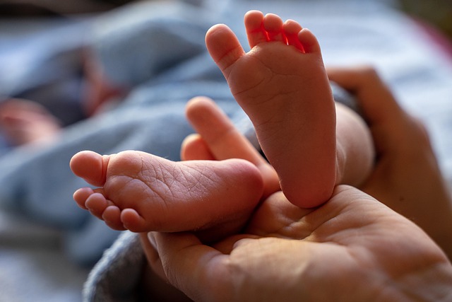 family health insurance