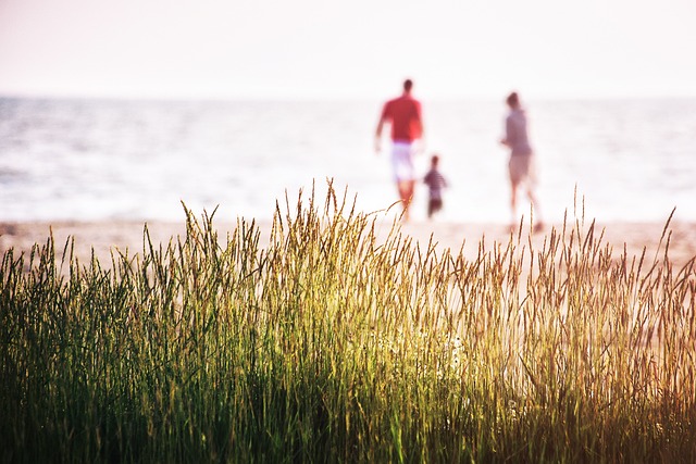 family health insurance