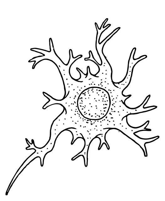 Fat Cell Freezing