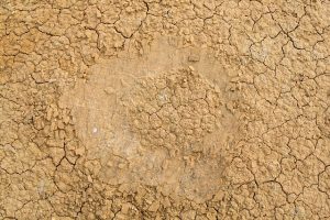 Mastering Concrete Foundation Crack Fixing: Comprehensive Guide