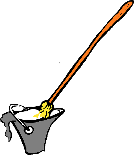 floor-cleaning-640x480-33111120.png