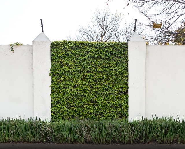 Foundation Repair Specialists