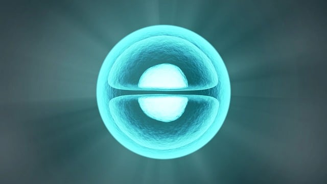 Freeze Fat Cells