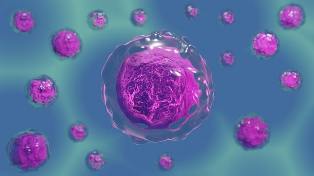 Freeze Fat Cells