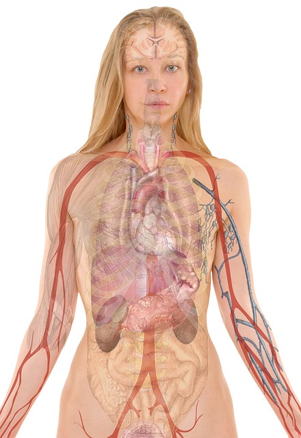 Full-Body Skin Tightening