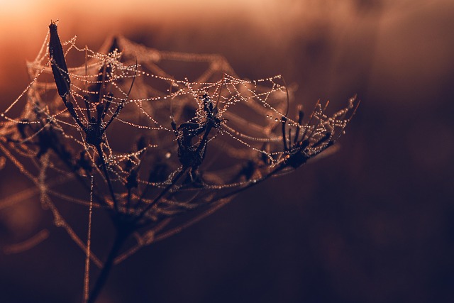 full-service web design