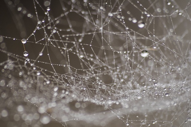 full-service web design
