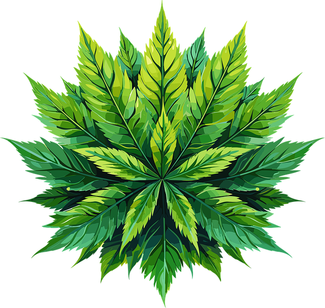 Full Spectrum CBD Tincture