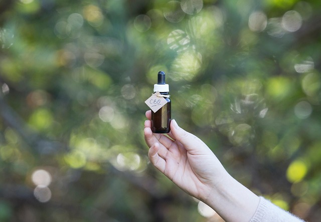 Full Spectrum CBD Tincture