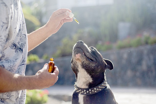 Full Spectrum Hemp Oil