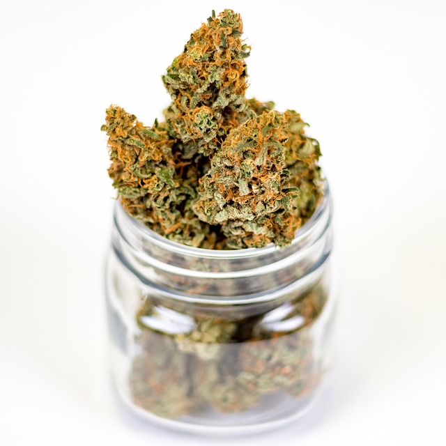 Full Spectrum Hemp Oil