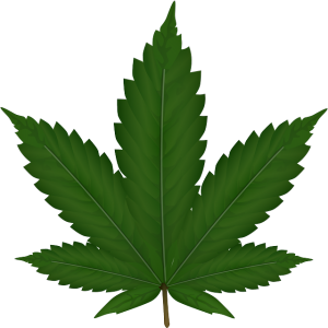 Unveiling the Power of Full Spectrum Hemp Oil: Terpenes for Wellness