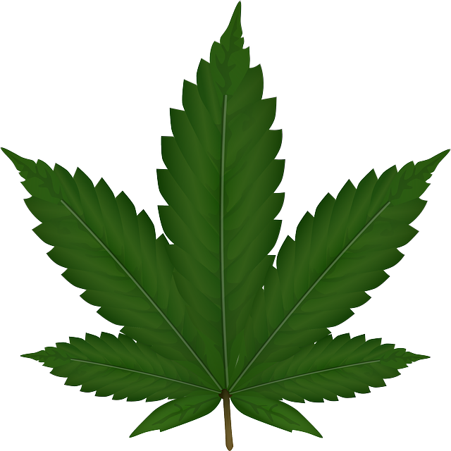 full-spectrum-hemp-oil-640x480-94246584.png