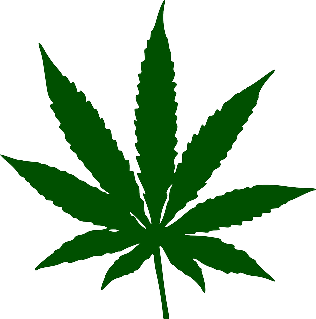 GLP-1 drugs