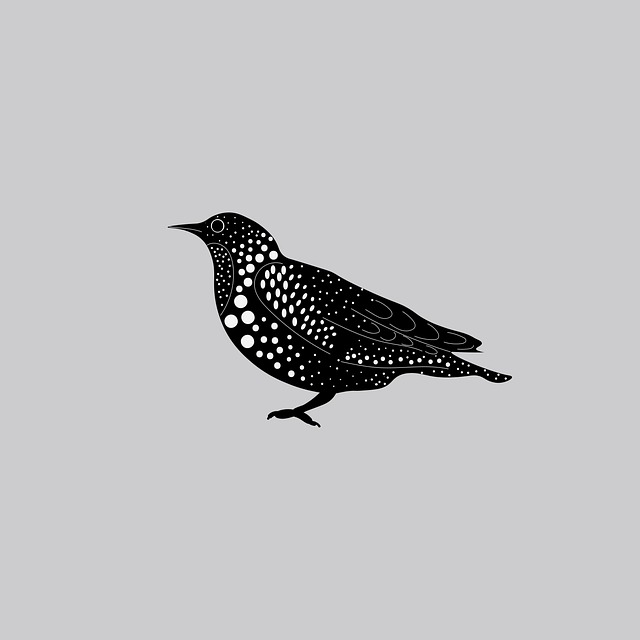 Graphic Design