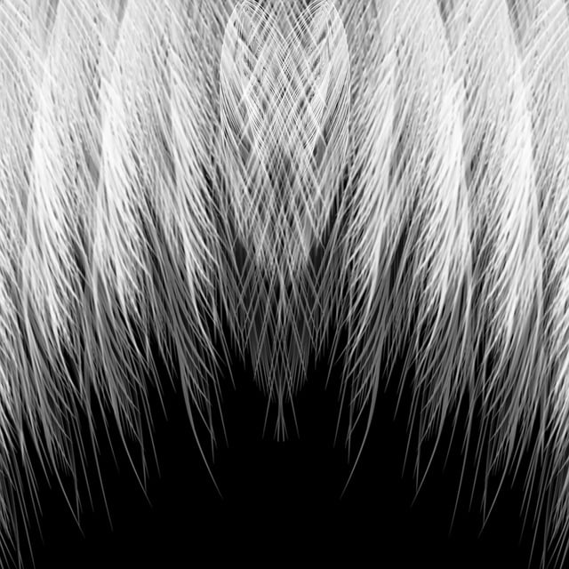 graphic-design-640x480-76114559.jpeg
