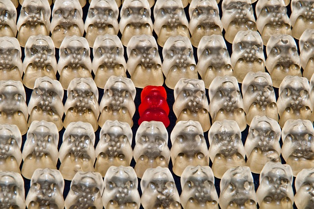 group vs individual health insurance