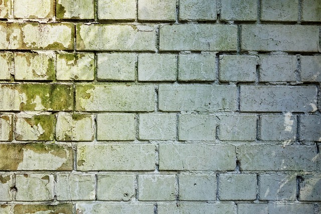 Grout Sealing to Prevent Mold and Stains