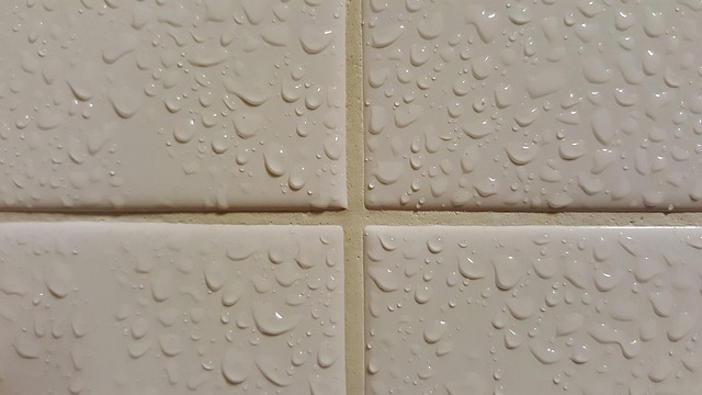 Grout Stain Removal