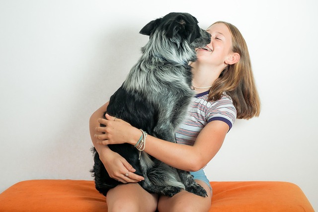 heated dog house