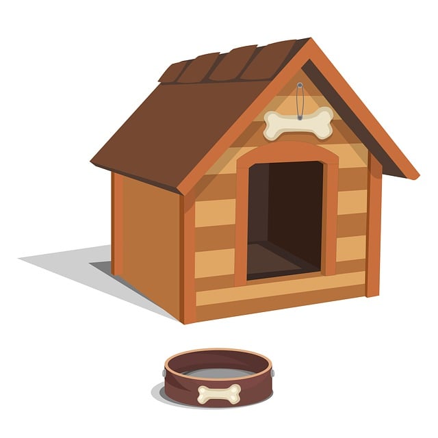 heated dog house