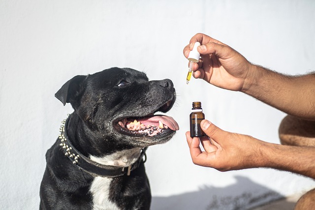 Heavy Metals Testing for CBD