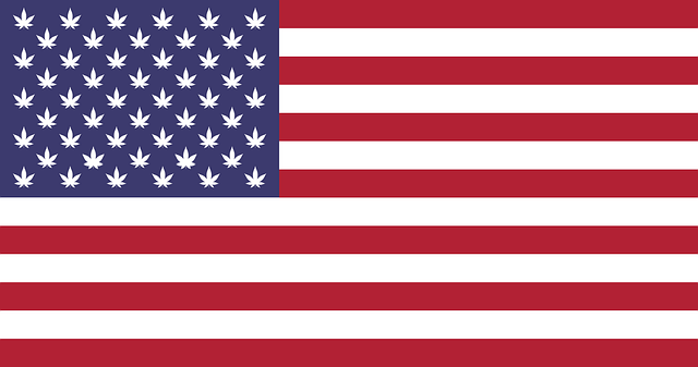 Hemp Terpenes for Sale