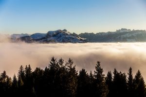 High Potency Cannabinoids: Unlocking Benefits, Navigating Risks, and Future Trends