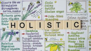 holistic-mental-health-640x480-24489147.jpeg