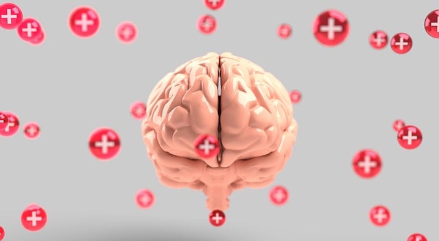 holistic mental health