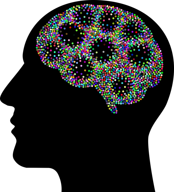holistic mental health