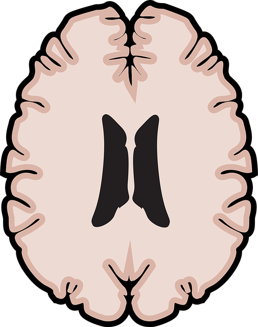 holistic mental health
