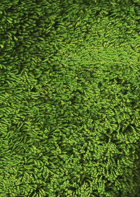 How Often Should Carpets Be Professionally Cleaned?