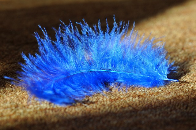 How Often Should Carpets Be Professionally Cleaned?