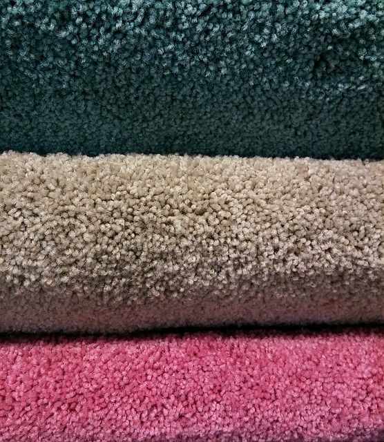 How Often Should Carpets Be Professionally Cleaned?