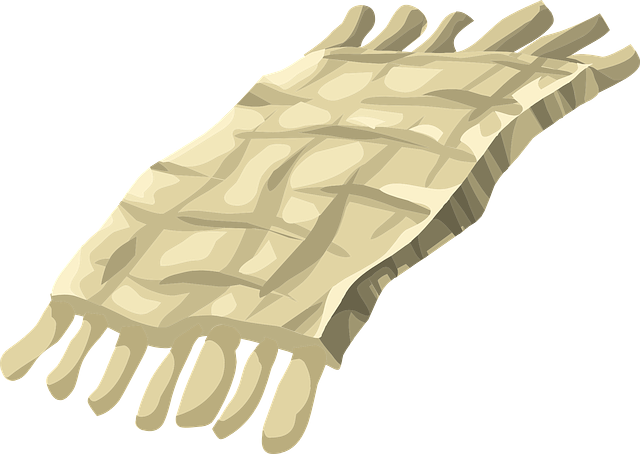 How Often Should Carpets Be Professionally Cleaned?