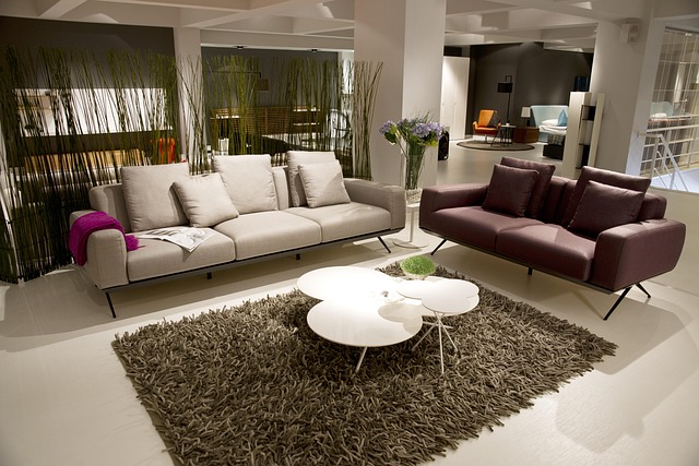 How to Remove Pet Stains from Carpet