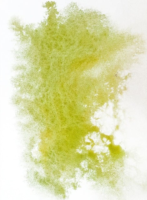 How to Remove Pet Stains from Carpet