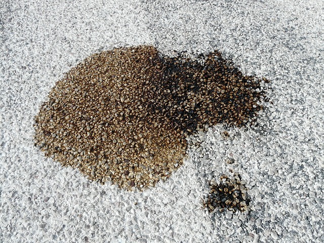 How to Remove Pet Stains from Carpet