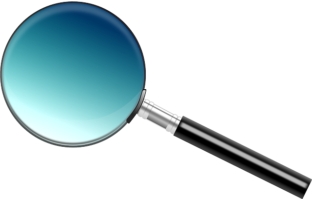 Improve Organic Search Rankings