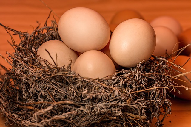 Improve Organic Search Rankings