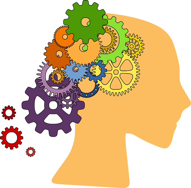 Improve Organic Search Rankings