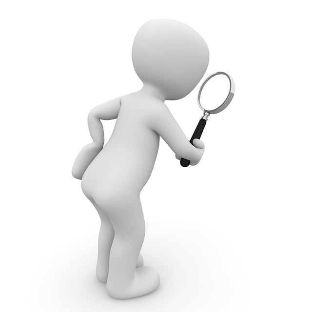 Improve Organic Search Rankings