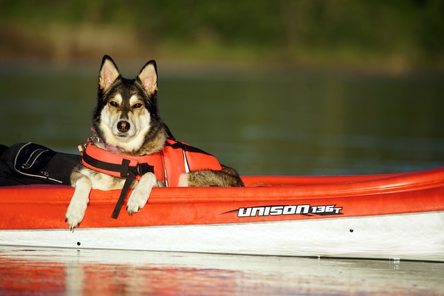 inflatable kayak for two